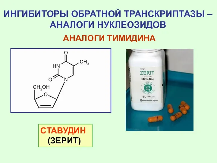 ИНГИБИТОРЫ ОБРАТНОЙ ТРАНСКРИПТАЗЫ – АНАЛОГИ НУКЛЕОЗИДОВ АНАЛОГИ ТИМИДИНА СТАВУДИН (ЗЕРИТ)