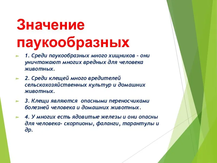 Значение паукообразных 1. Среди паукообразных много хищников – они уничтожают