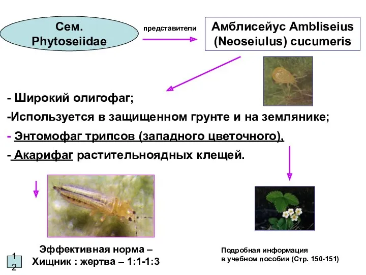 12 Сем. Phytoseiidae Широкий олигофаг; Используется в защищенном грунте и