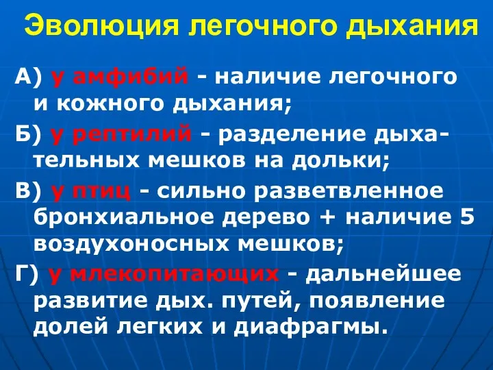 Эволюция легочного дыхания А) у амфибий - наличие легочного и кожного дыхания; Б)