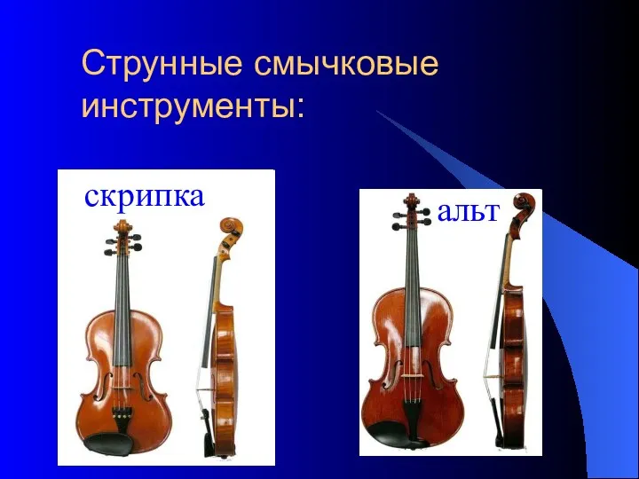 Струнные смычковые инструменты: скрипка альт