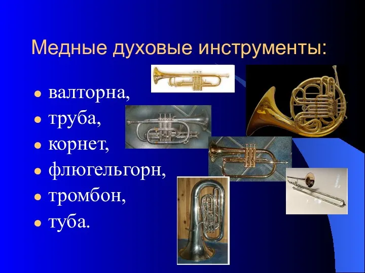 Медные духовые инструменты: валторна, труба, корнет, флюгельгорн, тромбон, туба.