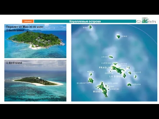 Коралловые острова Сейшелы Перелет от Маэ 30-45 мин:  Denis Island  Bird Island