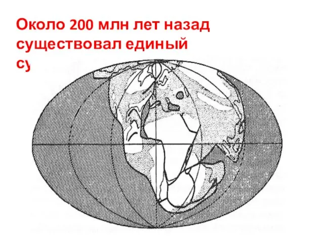 Около 200 млн лет назад существовал единый суперконтинент - Пангея