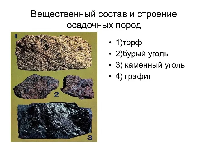 Вещественный состав и строение осадочных пород 1)торф 2)бурый уголь 3) каменный уголь 4) графит