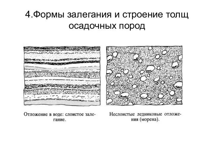 4.Формы залегания и строение толщ осадочных пород