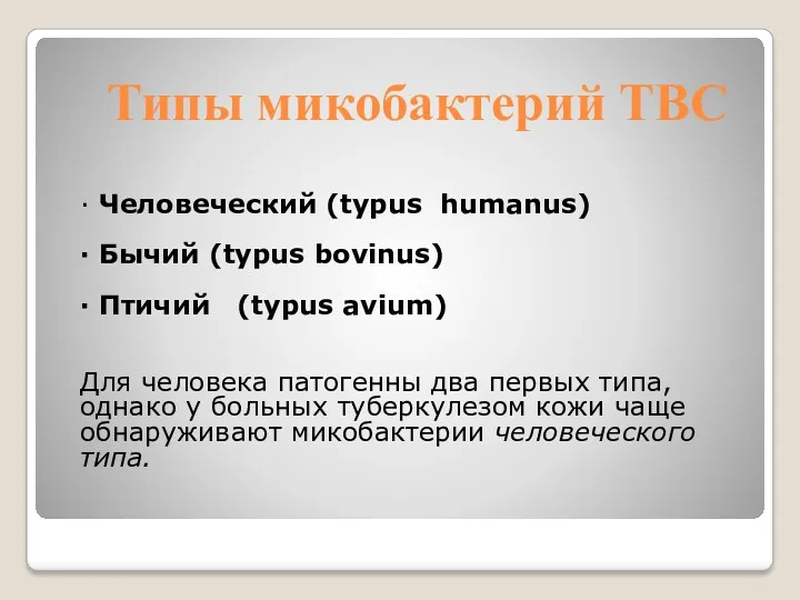 Типы микобактерий ТВС ∙ Человеческий (typus humanus) ∙ Бычий (typus