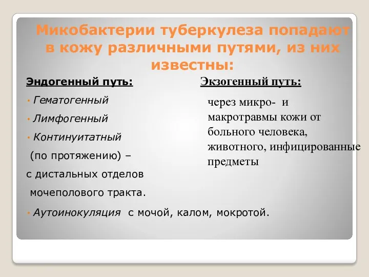 Микобактерии туберкулеза попадают в кожу различными путями, из них известны: