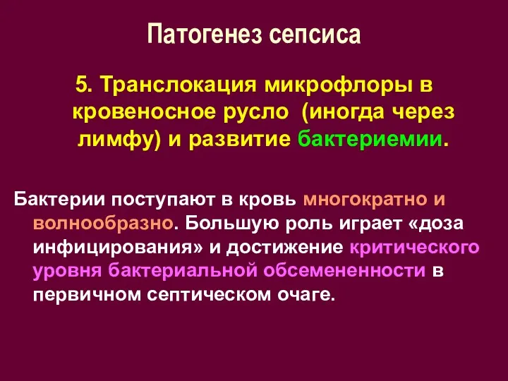 Патогенез сепсиса 5. Транслокация микрофлоры в кровеносное русло (иногда через лимфу) и развитие