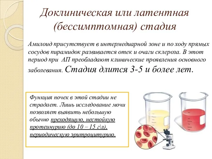 Доклиническая или латентная (бессимптомная) стадия Амилоид присутствует в интермедиарной зоне