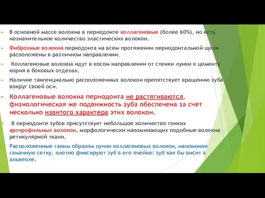 В основной массе волокна в периодонте коллагеновые (более 60%), но есть незначительное количество