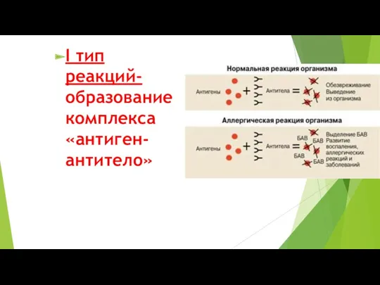 I тип реакций-образование комплекса «антиген-антитело»