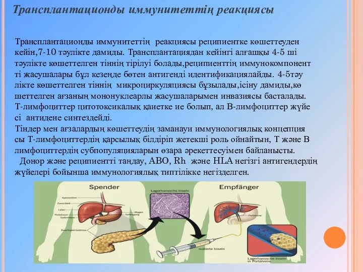 Трансплантационды иммунитеттің реакциясы Трансплантационды иммунитеттің реакциясы реципиентке көшеттеуден кейін,7-10 тәулікте дамиды. Трансплантациядан кейінгі