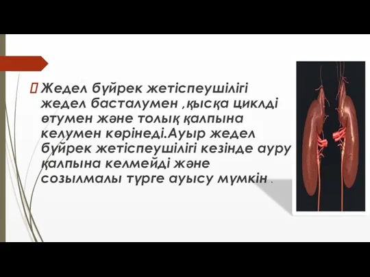 Жедел бүйрек жетіспеушілігі жедел басталумен ,қысқа циклді өтумен және толық