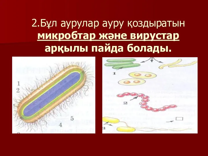 2.Бұл аурулар ауру қоздыратын микробтар және вирустар арқылы пайда болады.