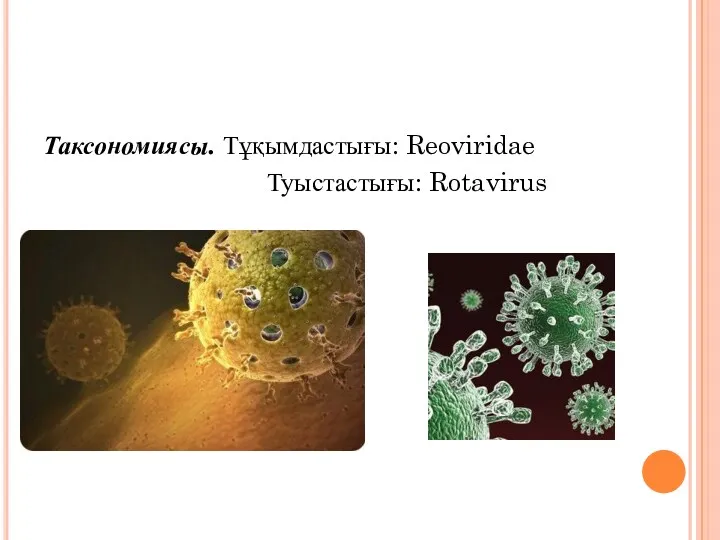 Таксономиясы. Тұқымдастығы: Reoviridae Туыстастығы: Rotavirus