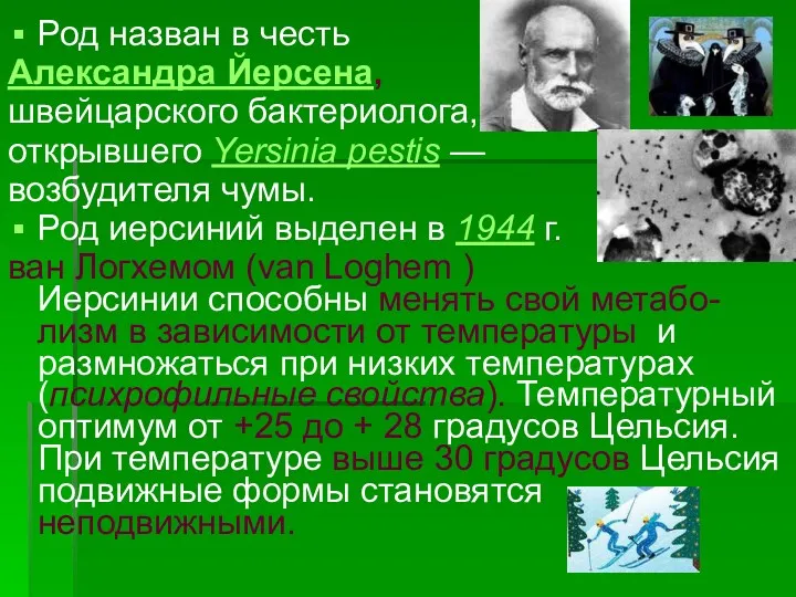 Род назван в честь Александра Йерсена, швейцарского бактериолога, открывшего Yersinia