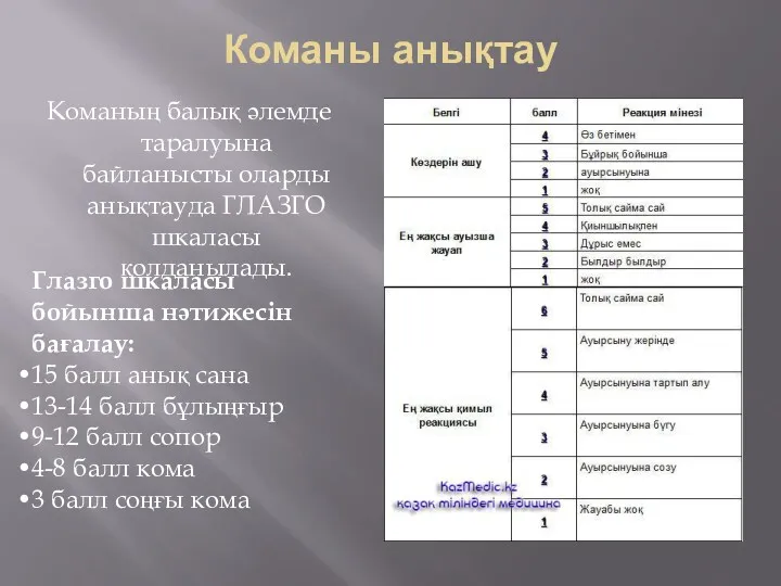 Команы анықтау Команың балық әлемде таралуына байланысты оларды анықтауда ГЛАЗГО