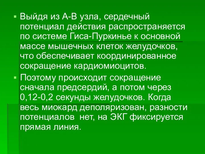 Выйдя из А-В узла, сердечный потенциал действия распространяется по системе