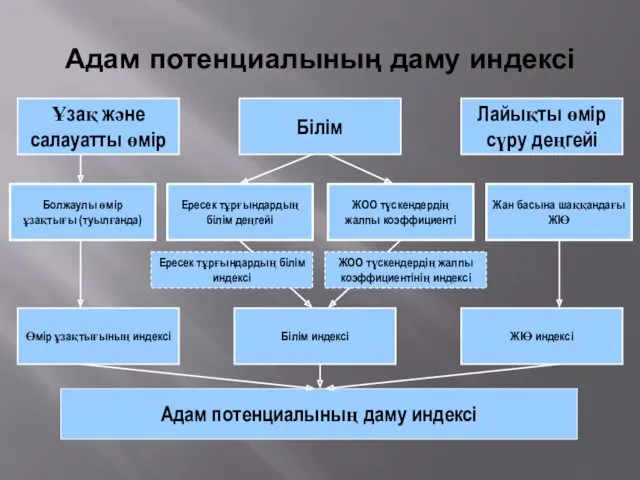 Адам потенциалының даму индексі Білім Лайықты өмір сүру деңгейі Ұзақ