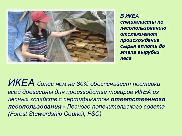 ИКЕА более чем на 80% обеспечивает поставки всей древесины для производства товаров ИКЕА