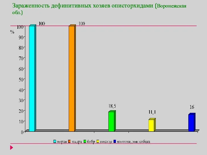 Зараженность дефинитивных хозяев описторхидами (Воронежская обл.)