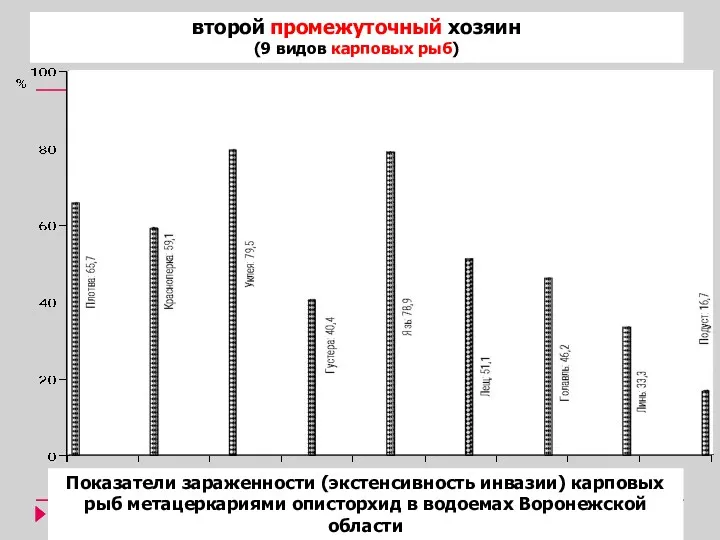 Показатели зараженности (экстенсивность инвазии) карповых рыб метацеркариями описторхид в водоемах