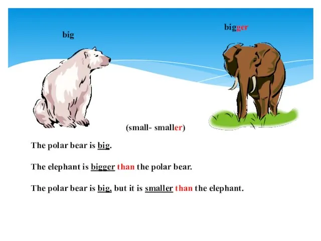 big bigger (small- smaller) The polar bear is big. The