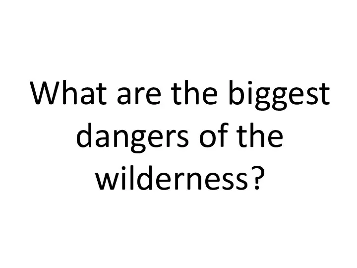 What are the biggest dangers of the wilderness?