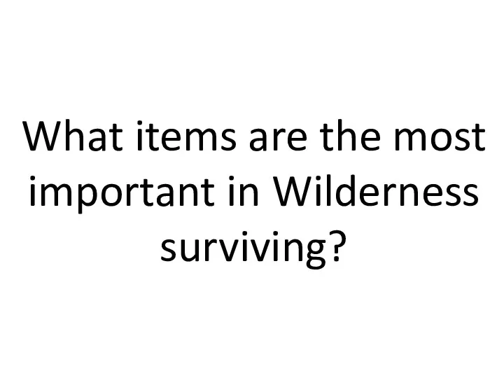 What items are the most important in Wilderness surviving?