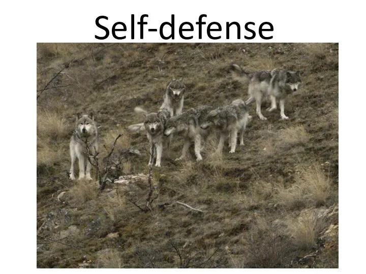 Self-defense