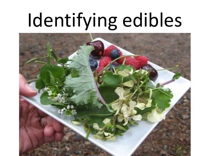 Identifying edibles