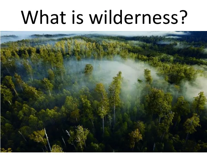 What is wilderness?