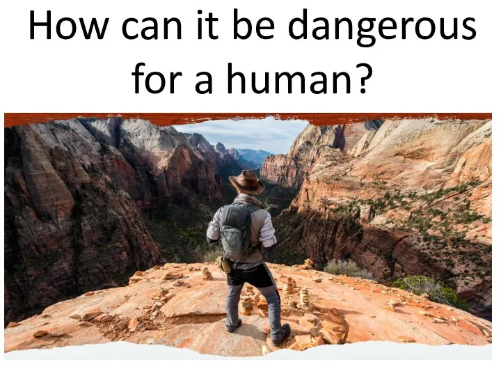 How can it be dangerous for a human?