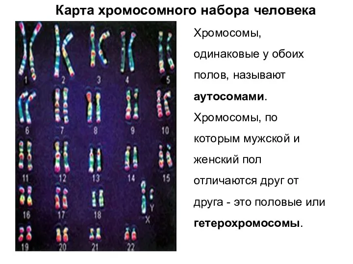 Хромосомы, одинаковые у обоих полов, называют аутосомами. Хромосомы, по которым мужской и женский