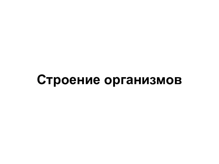 Строение организмов