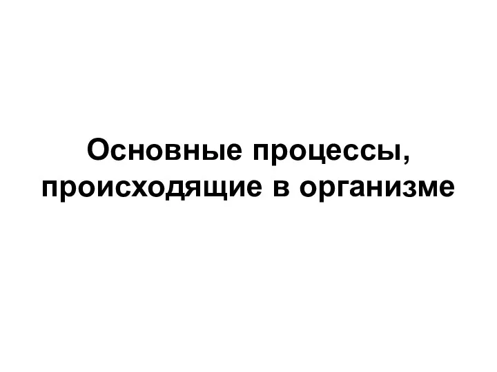 Основные процессы, происходящие в организме