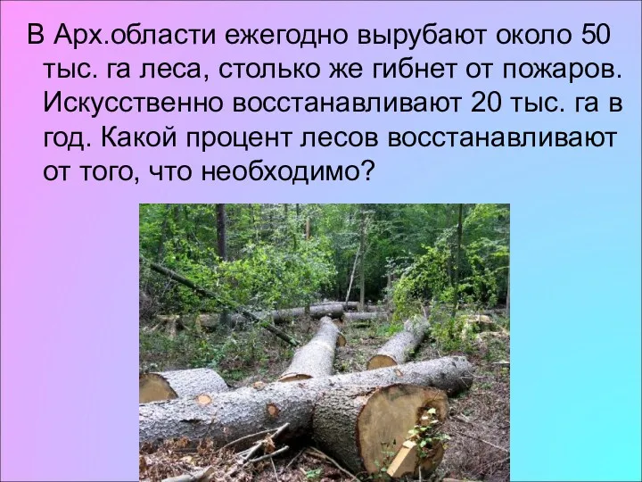 В Арх.области ежегодно вырубают около 50 тыс. га леса, столько