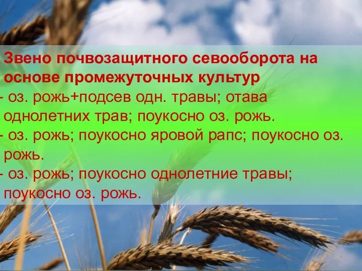 Звено почвозащитного севооборота на основе промежуточных культур оз. рожь+подсев одн.