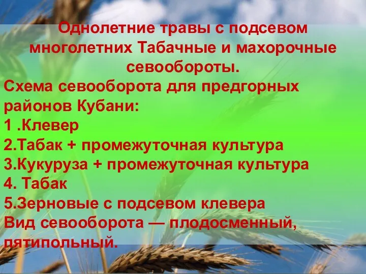 Однолетние травы с подсевом многолетних Табачные и махорочные севообороты. Схема