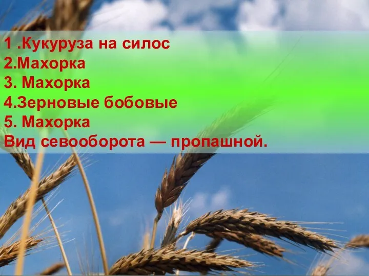 1 .Кукуруза на силос 2.Махорка 3. Махорка 4.Зерновые бобовые 5. Махорка Вид севооборота — пропашной.