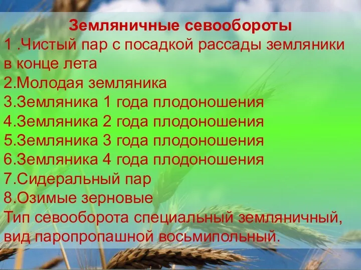 Земляничные севообороты 1 .Чистый пар с посадкой рассады земляники в