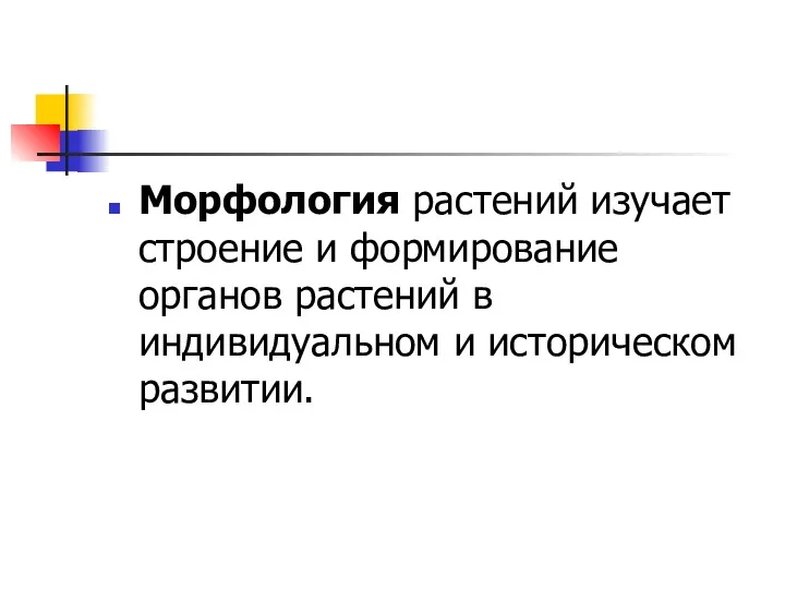 Морфология растений изучает строение и формирование органов растений в индивидуальном и историческом развитии.