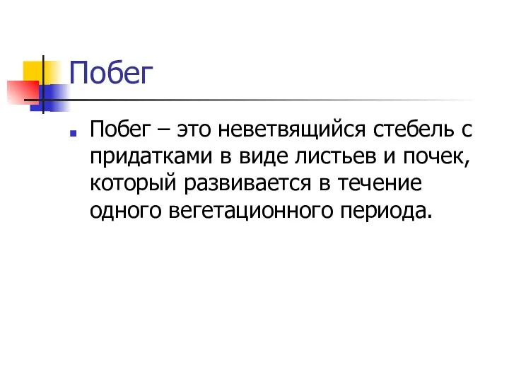 Побег Побег – это неветвящийся стебель с придатками в виде листьев и почек,