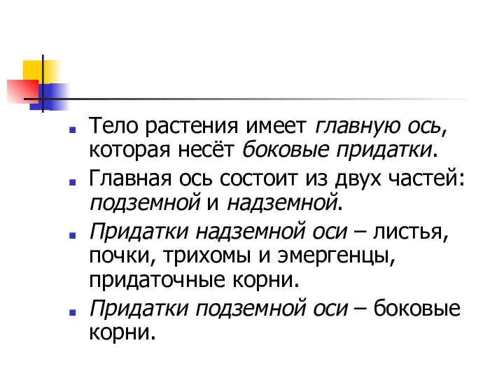 Тело растения имеет главную ось, которая несёт боковые придатки. Главная ось состоит из