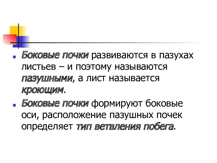 Боковые почки развиваются в пазухах листьев – и поэтому называются пазушными, а лист