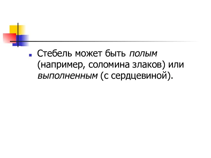 Стебель может быть полым (например, соломина злаков) или выполненным (с сердцевиной).