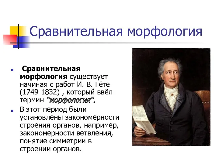 Сравнительная морфология Сравнительная морфология существует начиная с работ И. В. Гёте (1749-1832) ,