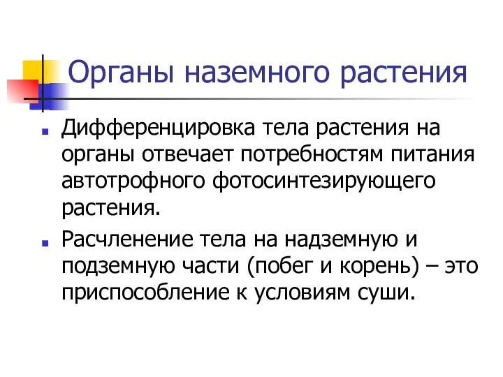 Органы наземного растения Дифференцировка тела растения на органы отвечает потребностям питания автотрофного фотосинтезирующего