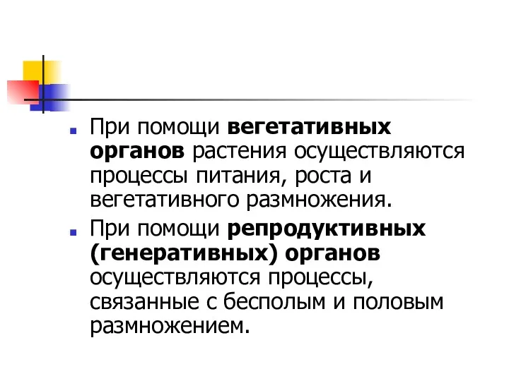 При помощи вегетативных органов растения осуществляются процессы питания, роста и вегетативного размножения. При